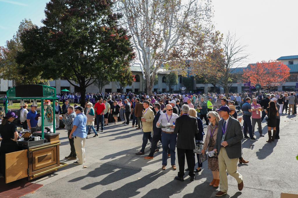 Explore Future Stars Friday at the 2022 Breeders’ Cup World Championships. (Eclipse Sportswire)